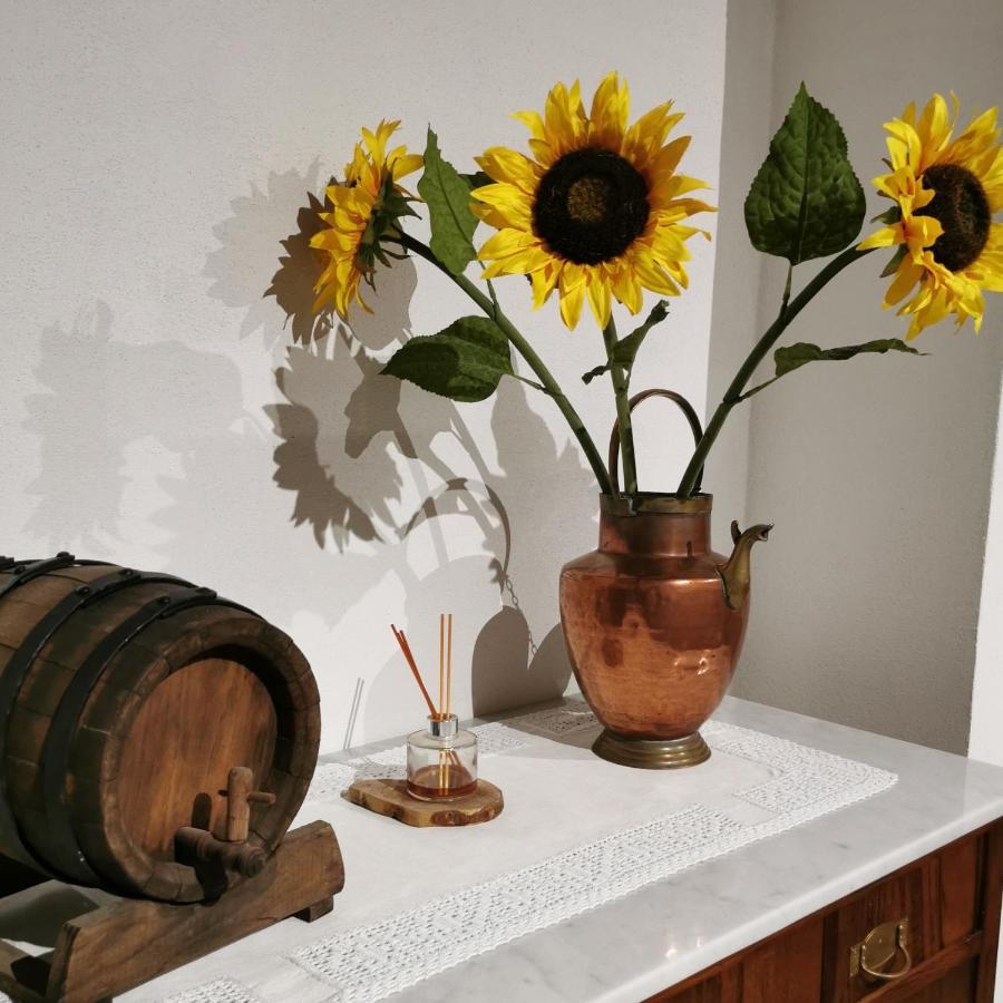 Otello Guest House Montalcino Ngoại thất bức ảnh